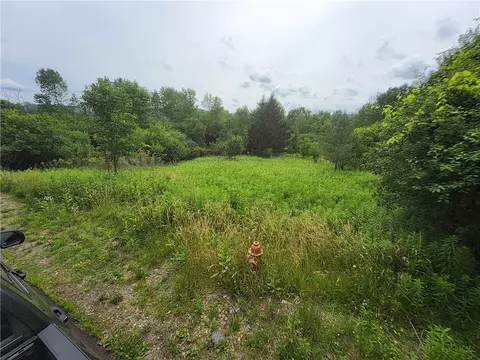 108 Scott Ave, Wellsville, NY 14895