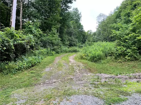 0 Marvin Hollow Rd, Walton, NY 13856
