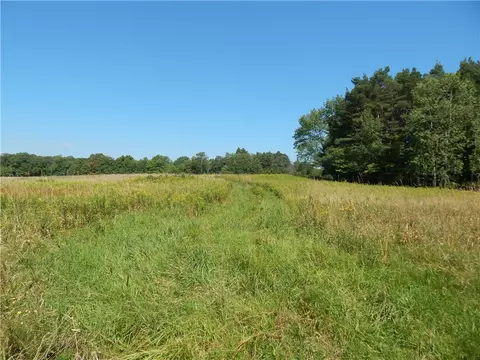 0 Sam Holdridge Rd, Burlington, NY 13482