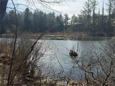 Hattie Clark Road, Smithville, NY 13778