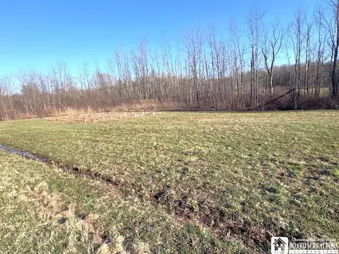 7203 Barber Rd, Dewittville, NY 14728