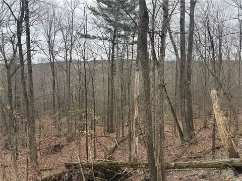 Winding Stair Road, Urbana, NY 14840