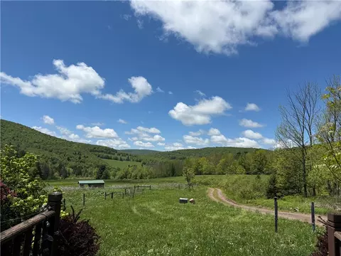 1039 Mountain Brook Rd, Bovina, NY 13740