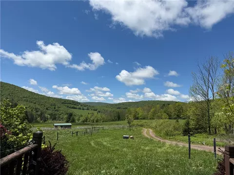 1039 Mountain Brook Rd, Bovina, NY 13740
