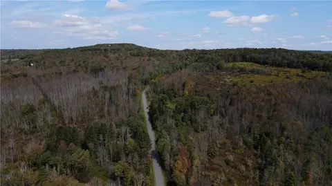 lot11 Sisson Hill Rd, Unadilla, NY 13849