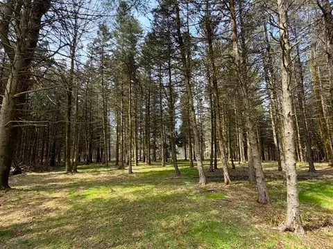 3453 Dutton, Clarksville, NY 14727 photo 45