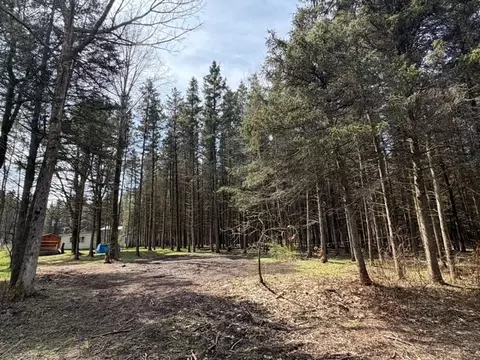 3453 Dutton, Clarksville, NY 14727 photo 39