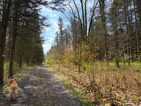 3453 Dutton, Clarksville, NY 14727 photo 30