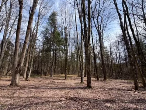 3453 Dutton, Clarksville, NY 14727 photo 33