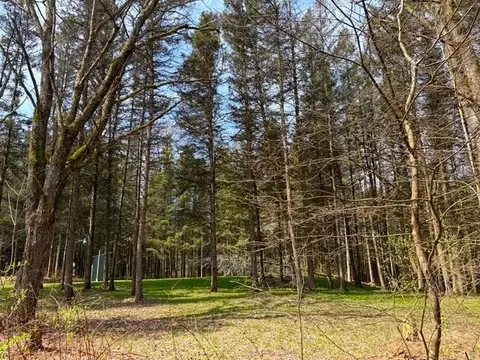 3453 Dutton, Clarksville, NY 14727 photo 36