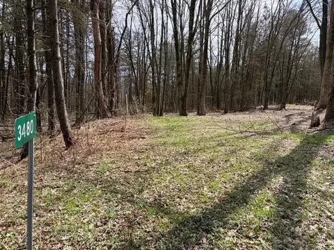 3453 Dutton, Clarksville, NY 14727 photo 34