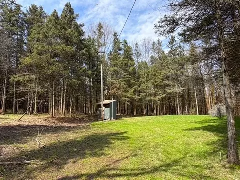 3453 Dutton, Clarksville, NY 14727 photo 38