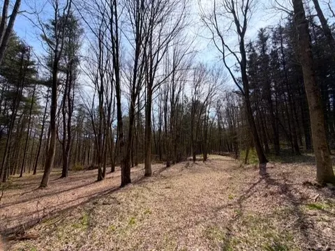 3453 Dutton, Clarksville, NY 14727 photo 32