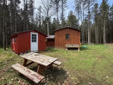 3453 Dutton, Clarksville, NY 14727 photo 5