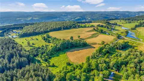 137 Stone Ridge Dr, Jefferson, NY 12036