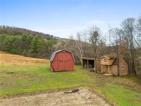 Exterior - 663 Halsey Valley Rd, Barton, NY 13734 photo 8 of 8