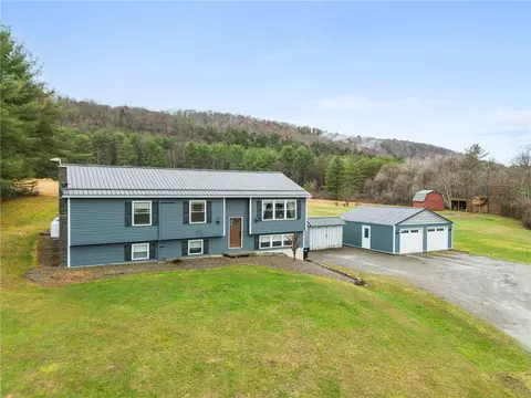 Exterior - 663 Halsey Valley Rd, Barton, NY 13734 photo 5 of 8