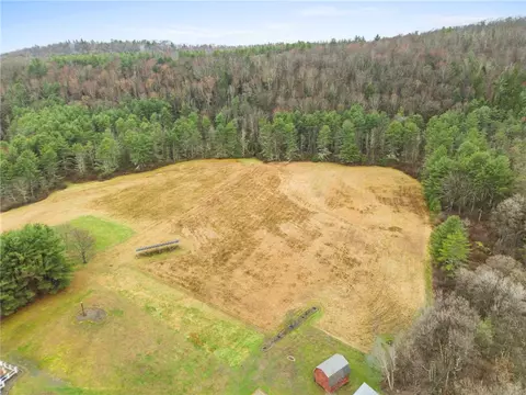 View/Area - 663 Halsey Valley Rd, Barton, NY 13734 photo 4 of 4
