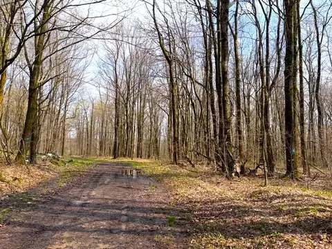 1700 28th Creek Rd, Ellington, NY 14733