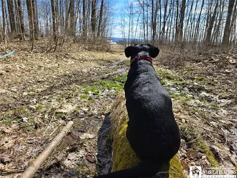 00 W Cobb Rd, Poland, NY 14733