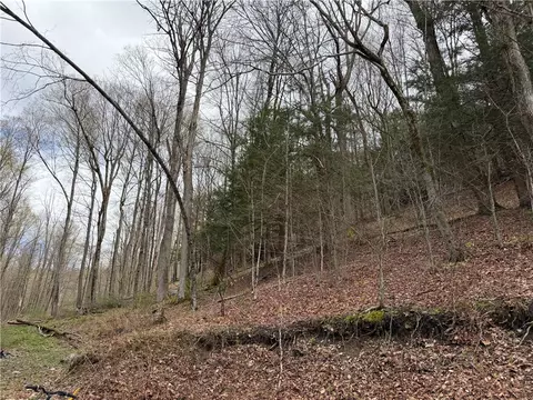 Other - 10856 Schwingle Rd, Prattsburgh, NY 14873 photo 16 of 20