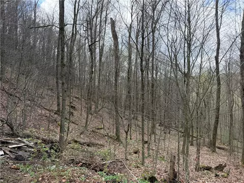 Other - 10856 Schwingle Rd, Prattsburgh, NY 14873 photo 12 of 20
