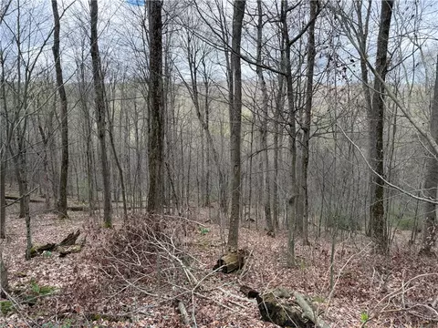 Other - 10856 Schwingle Rd, Prattsburgh, NY 14873 photo 11 of 20