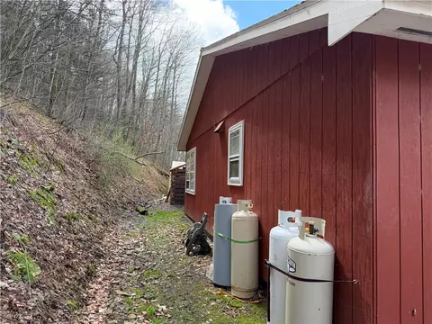 Exterior - 10856 Schwingle Rd, Prattsburgh, NY 14873 photo 2 of 14