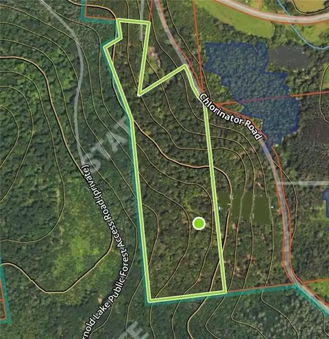 Chlorinator Road, Hartwick, NY 13807