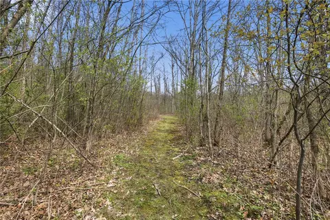 Other - 2555 Willett Road Ext, Jerusalem, NY 14478 photo 10 of 10
