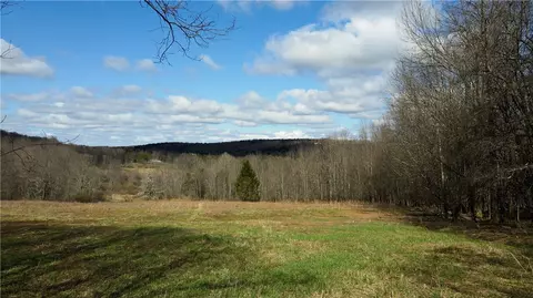 Jennison Road, Pittsfield, NY 13411