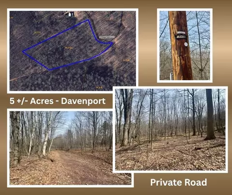 653 Frank Briggs Rd, Davenport, NY 13820