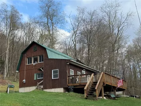 311 Fall Clove Rd, Colchester, NY 13752