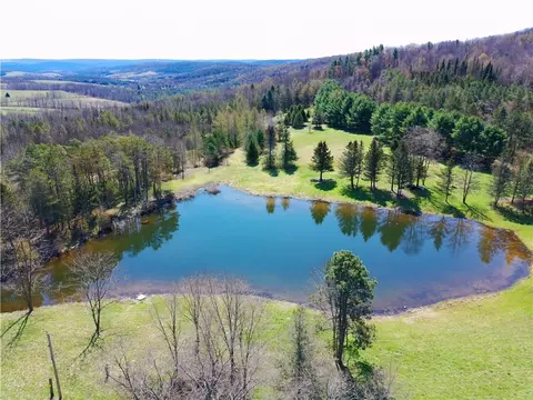 3776 State Highway 80, Columbus, NY 13460