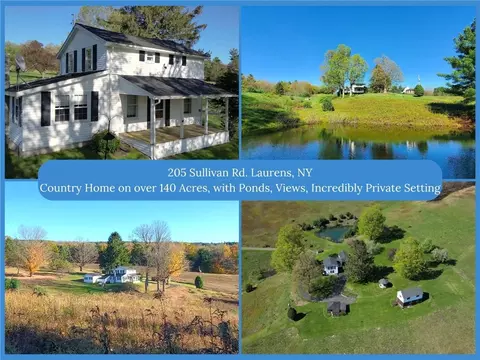 205 Sullivan Rd, Mount Vision, NY 13810