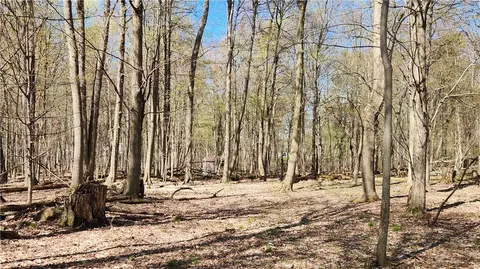 Straub Road, Greece, NY 14626
