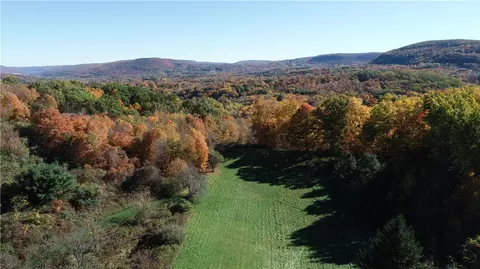 Other - 8921 Eelpot Rd, Naples, NY 14512 photo 10 of 23