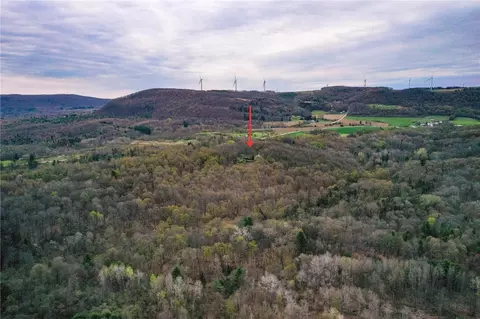 View/Area - 8921 Eelpot Rd, Naples, NY 14512 photo 9 of 10