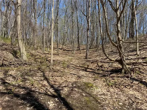 Other - 8921 Eelpot Rd, Naples, NY 14512 photo 8 of 18