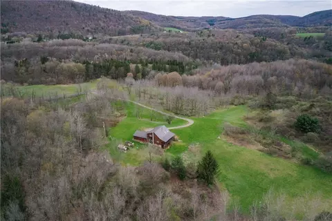 View/Area - 8921 Eelpot Rd, Naples, NY 14512 photo 1 of 10