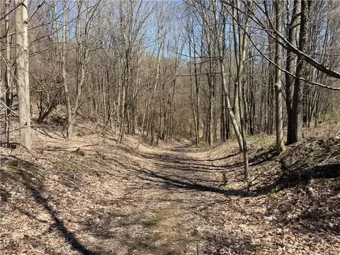 Other - 8921 Eelpot Rd, Naples, NY 14512 photo 7 of 18