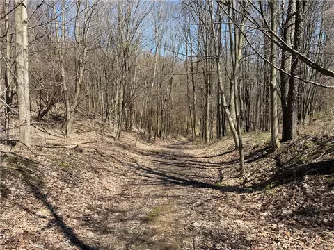 Other - 8921 Eelpot Rd, Naples, NY 14512 photo 11 of 23