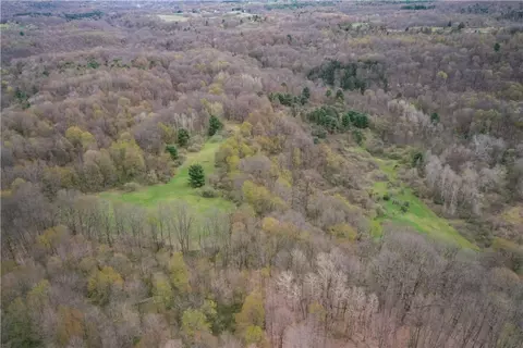 View/Area - 8921 Eelpot Rd, Naples, NY 14512 photo 5 of 10