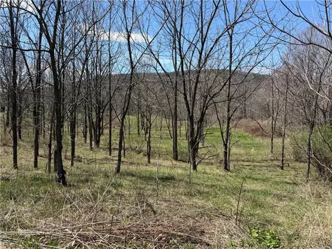 Other - 8921 Eelpot Rd, Naples, NY 14512 photo 11 of 18