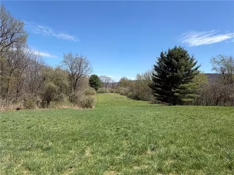 Other - 8921 Eelpot Rd, Naples, NY 14512 photo 10 of 18