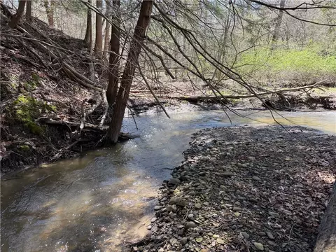 View/Area - 8921 Eelpot Rd, Naples, NY 14512 photo 8 of 10