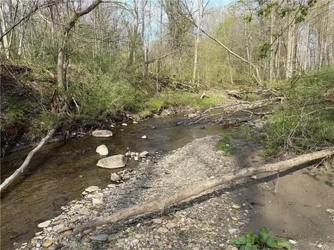 14245 Collin Ctr Zoar Rd, Collins, NY 14034