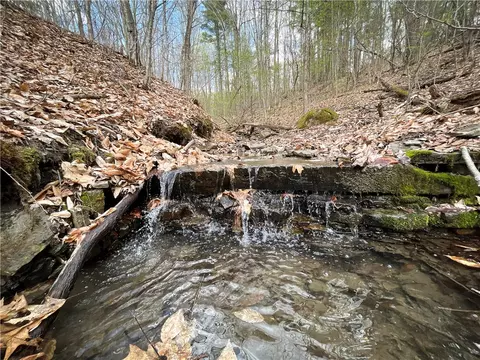 West Creek Road, Richford, NY 13835