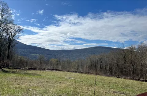 Vega Mountain Road, Roxbury, NY 12474