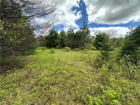0 Pine Tree Rd, Pittsfield, NY 13411